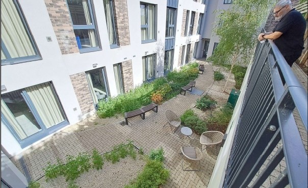 Landscaped courtyard garden with planting and seating